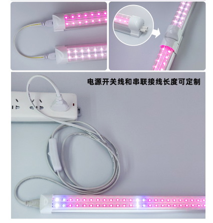 �ȝ��植物生长�?.2�c�T818w防水�?></td></tr></table></div><div   id=