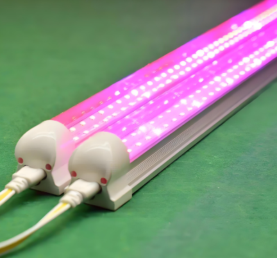 T8鍒嗕綋鍏ㄥ厜璋辨鐗╃敓闀跨伅綆?png